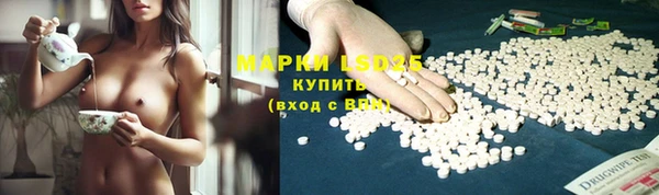 стафф Горняк
