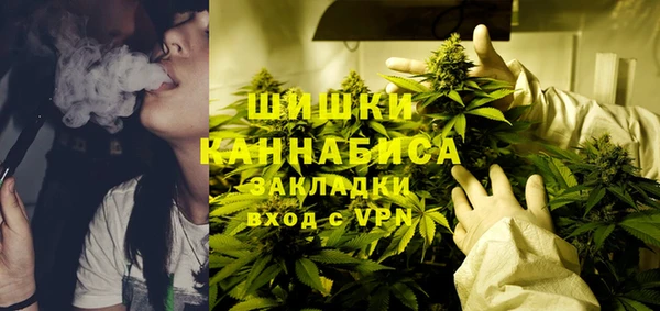 молекула духа Горно-Алтайск
