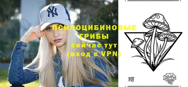 молекула духа Горно-Алтайск
