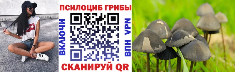 blacksprut рабочий сайт  купить наркоту  Стерлитамак  площадка клад  Псилоцибиновые грибы MAGIC MUSHROOMS 
